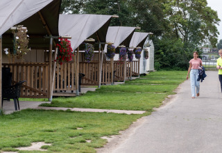 Safari-Zelte mit Veranda und Blumen bei Camping de Krabbeplaat, Niederlande, zwei Menschen spazieren.