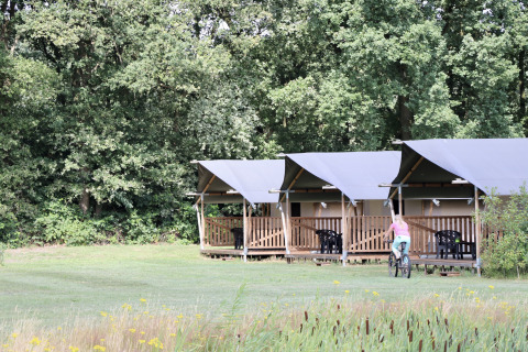 Safari tents with porches and a cyclist in front at Camping de Heerlijkheid Vorenseinde in the Netherlands.