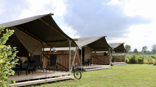 Tiendas safari con baño privado y terraza en un campo verde, ideales para acampar con comodidad.