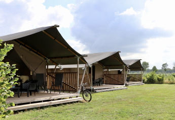 Safari tents with private sanitary facilities and terraces on a grassy field, perfect for comfy camping.