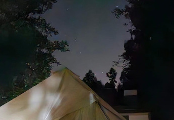Foto de una tienda safari por la noche, rodeada de árboles y bajo un cielo estrellado brillante.