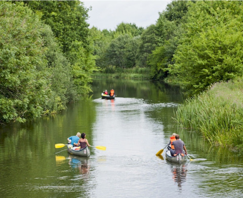 Folk padler på en flod omgivet af grønne træer ved Vestbirk Camping i Region Hovedstaden, Danmark.