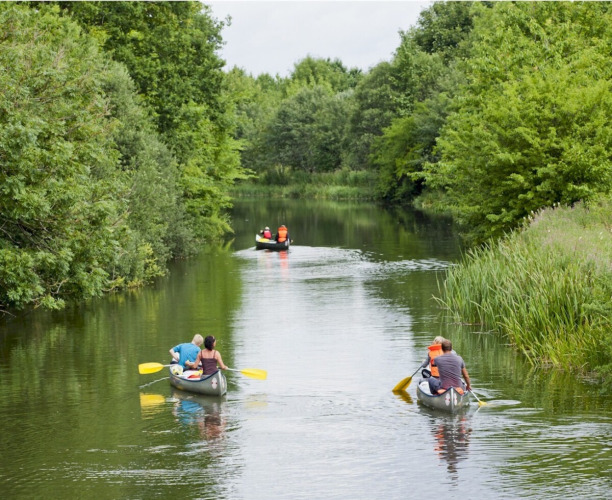 Mensen kanoën op een rivier bij Vestbirk Camping, omgeven door groen in de Hoofdstadregio van Denemarken.