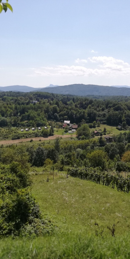 Udsigt over et grønt landskab med glamping-telte og små huse i en feriepark omgivet af bakker.