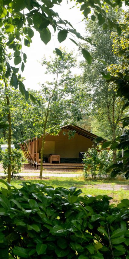 Tienda de glamping en un parque vacacional, rodeada de árboles y vegetación, ideal para una escapada.