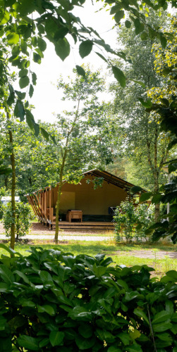 Glampingtent in een vakantiepark, omringd door bomen en groen, ideaal voor een ontspannen verblijf.