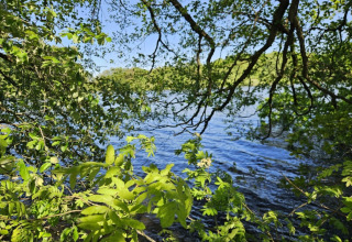 Udsigt over en sø gennem grønne trægrene ved Vestbirk Camping i Region Hovedstaden, Danmark.