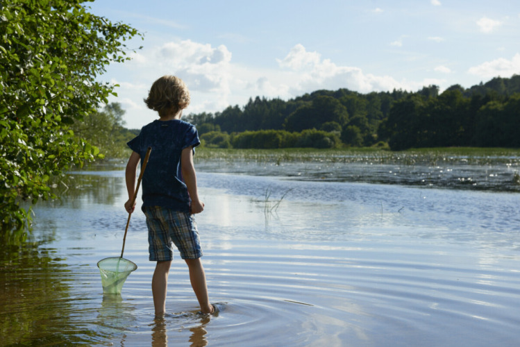 Kind met schepnet loopt in het water bij Vestbirk Camping, een vakantiepark in het Deense landschap.