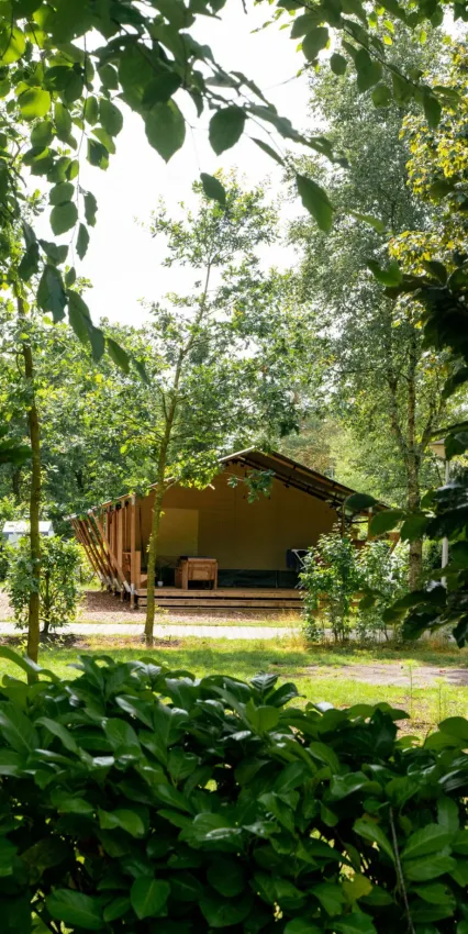Tienda acogedora en Vestbirk Camping, Dinamarca, rodeada de vegetación y frondosos árboles.