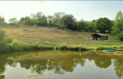 Vista su uno stagno e una collina erbosa con un cavallo, anatre e capanno a Feather Down La Flocellière en Vendée.