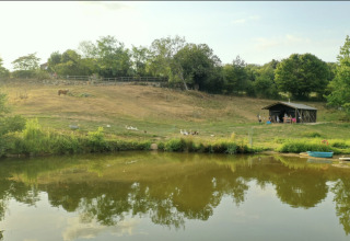 Vue sur un étang et une colline herbeuse avec un cheval, des canards et un abri à Feather Down La Flocellière en Vendée.