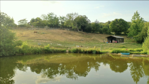 Blick auf einen Teich mit Wiese, Pferd, Gänsen und Schuppen im Feather Down La Flocellière en Vendée Ferienpark.