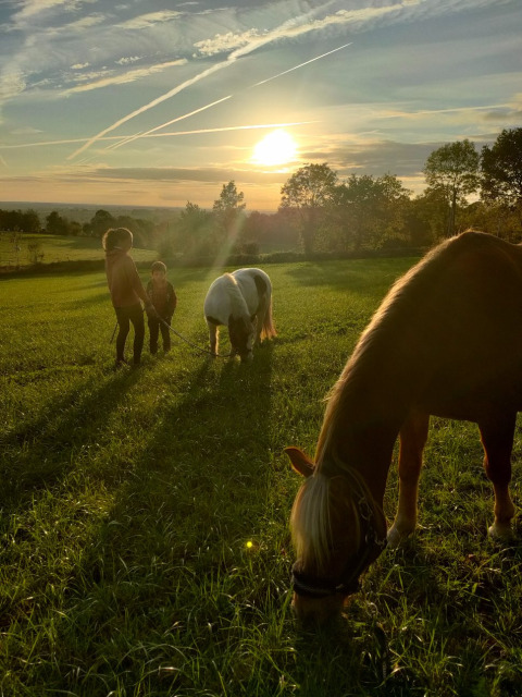 Dos niños y ponis en un campo verde al atardecer, Feather Down La Flocellière en Vendée, Francia.