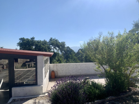 Terrasse mit Blick auf Garten, Bäume und Berge im Ferienpark Glamping de Cerveira in Nordportugal.