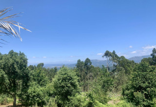 Panoramablick auf Glamping de Cerveira in Nordportugal mit grünen Bäumen und Bergen unter blauem Himmel.