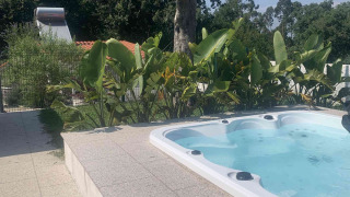 Jacuzzi exterior en Glamping de Cerveira, un parque de vacaciones en el norte de Portugal, rodeado de plantas.