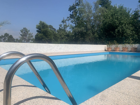 Piscina exterior con escalera metálica, rodeada de plantas en macetas y árboles en Glamping de Cerveira.