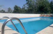 Udendørs swimmingpool med metalstige, omgivet af planter i potter og grønne træer i Glamping de Cerveira.