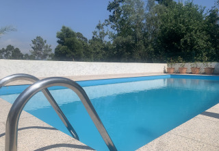 Udendørs swimmingpool med metalstige, omgivet af planter i potter og grønne træer i Glamping de Cerveira.