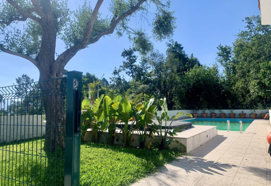 Swimmingpool og terrasse omgivet af grønne planter og træer på Glamping de Cerveira, Nordportugal.