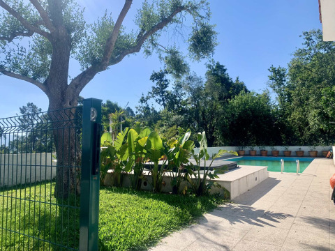 Zwembad en terras met veel groen bij Glamping de Cerveira, een vakantiepark in Noord-Portugal.