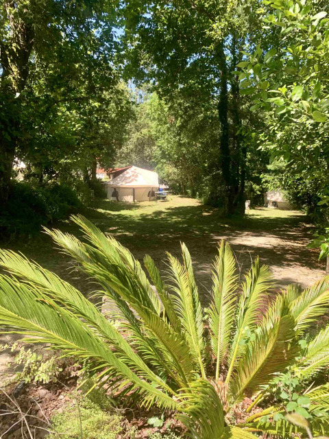 Una tienda de campaña bajo la sombra de árboles altos y plantas verdes en Glamping de Cerveira, norte de Portugal.