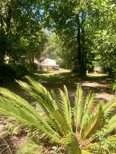 A tent shaded by tall trees and lush greenery at Glamping de Cerveira, a holiday park in northern Portugal.