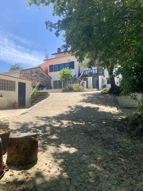 Casa de vacaciones en Glamping de Cerveira, norte de Portugal, con sendero empedrado y árboles frondosos.