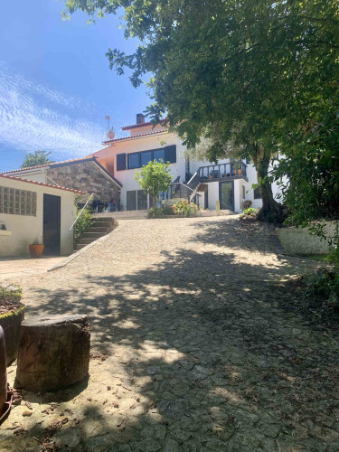 Vakantiehuis bij Glamping de Cerveira in Noord-Portugal met bestrate oprijlaan en groene bomen.