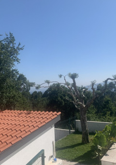 Vista desde Glamping de Cerveira en el norte de Portugal, con techo de tejas rojas y vegetación alrededor.