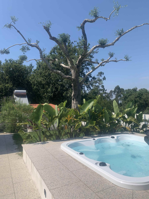 Un árbol con pocas hojas detrás de arbustos y un jacuzzi exterior en Glamping de Cerveira, norte de Portugal.