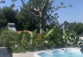 A sparsely-leaved tree stands behind bushes and an outdoor hot tub at Glamping de Cerveira, North Portugal.