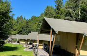 Tiendas safari en Camping Bockenauer Schweiz, Alemania, dispuestas en fila bajo un cielo azul despejado.