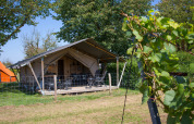 Tienda safari con porche y servicios sanitarios en Camping de Boomgaard, Bélgica, rodeada de naturaleza.
