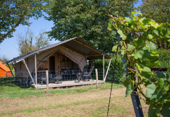 Safari tent with porch and sanitary facilities at Camping de Boomgaard in Belgium, surrounded by greenery.