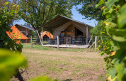 Tienda safari con instalaciones sanitarias en Camping de Boomgaard, Bélgica, rodeada de vegetación.