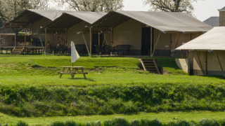 Safari-Zelt Standard Maaszicht auf Camping de Boomgaard in Belgien mit Sitzbereichen und Naturwiese.