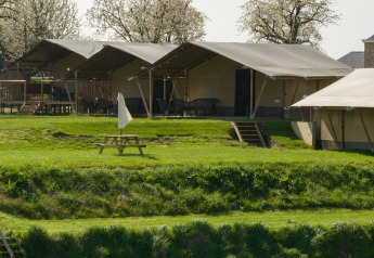 Tenda safari standard Maaszicht al Camping de Boomgaard in Belgio con area verde e tavolo da picnic.