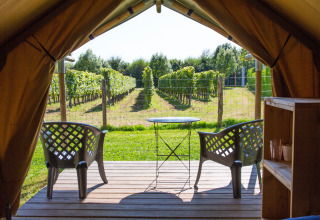 Vista desde la tienda safari Duo Lodge en Camping de Boomgaard, Bélgica, con sillas y viñedo al fondo.