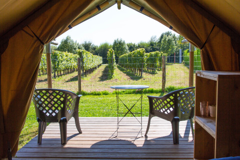 Blick aus dem Duo Lodge Safari-Zelt auf Camping de Boomgaard in Belgien mit Stühlen und Weinberg.