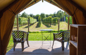 Vista desde la tienda safari Duo Lodge en Camping de Boomgaard, Bélgica, con sillas y viñedo al fondo.