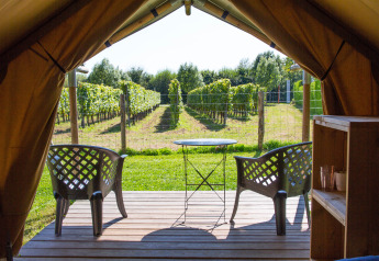 Blick aus dem Duo Lodge Safari-Zelt auf Camping de Boomgaard in Belgien mit Stühlen und Weinberg.