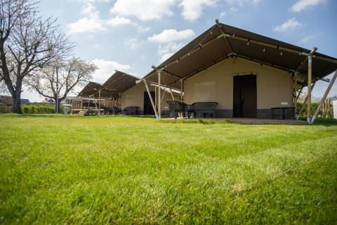 Tenda safari premium Maaszicht al Camping de Boomgaard in Belgio, su prato verde e sotto cielo sereno.