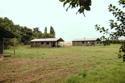 Safari tents on a grassy field at Feather Down Les Jardins des Coccinelles holiday park in Brittany, France.