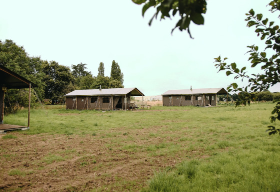 Tentes lodges sur un champ verdoyant au Feather Down Les Jardins des Coccinelles, en Bretagne, France.
