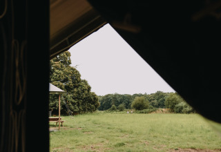 Uitzicht vanuit een tent op een grasveld en bomen bij Feather Down Les Jardins des Coccinelles, Bretagne.