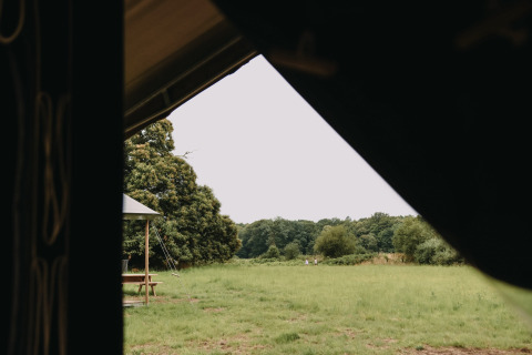 Zicht vanuit een tent op een groen veld en bomen bij Feather Down Les Jardins des Coccinelles, Bretagne.