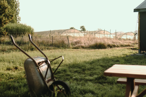 Rural view at Feather Down Les Jardins des Coccinelles, Brittany, with a wheelbarrow and greenhouses in the background.
