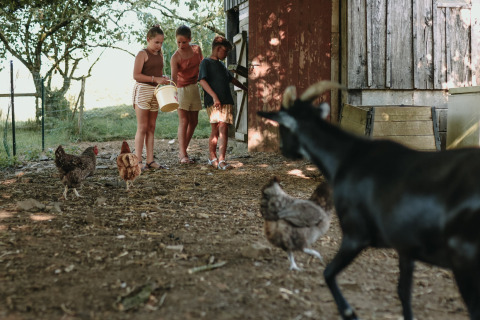 Trois enfants nourrissent des poules et une chèvre près d’une cabane en bois à Les Jardins des Coccinelles.
