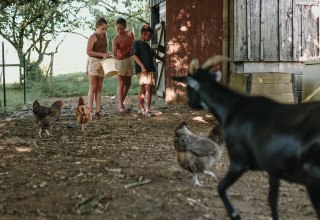 Trois enfants nourrissent des poules et une chèvre près d’une cabane en bois à Les Jardins des Coccinelles.